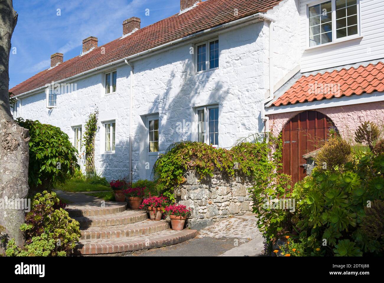 Treppen und Vorgärten auf Herm Insel im Kanal Inseln UK mit Ferienunterkunft Stockfoto