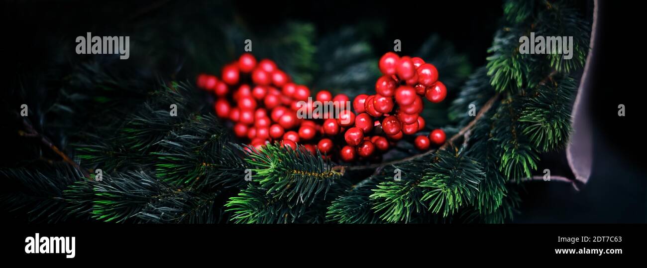 Magisches Weihnachten - weihnachtskranz aus der Nähe, grüne Kiefernzweige und rote Beeren. Moderne, trendige Weihnachtsdekoration mit schwarzem Hintergrund. Stockfoto