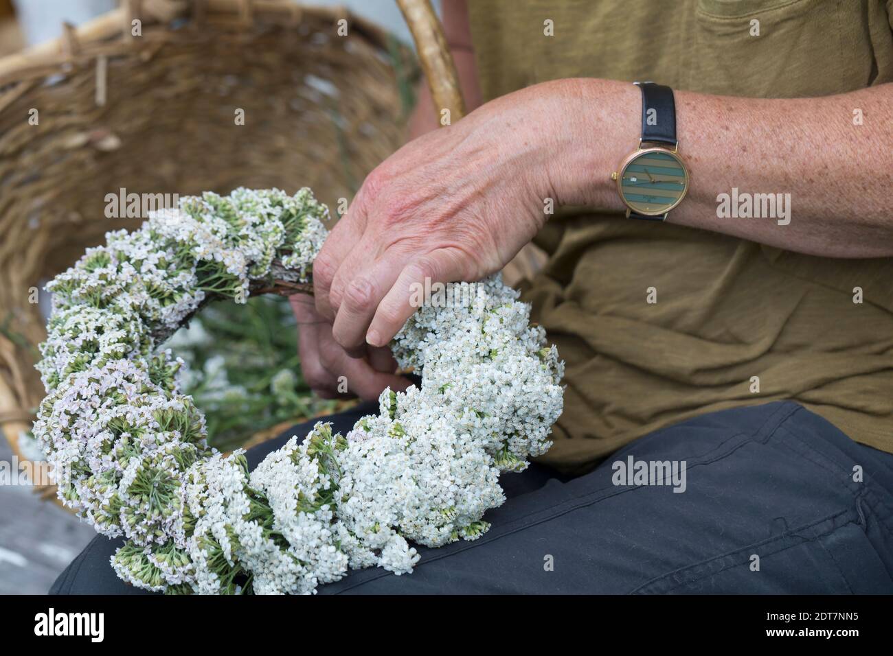 Schafgarbe, Milfoil (Achillea millefolium), selbstgebundener Schafgarbe-Kranz, Deutschland Stockfoto