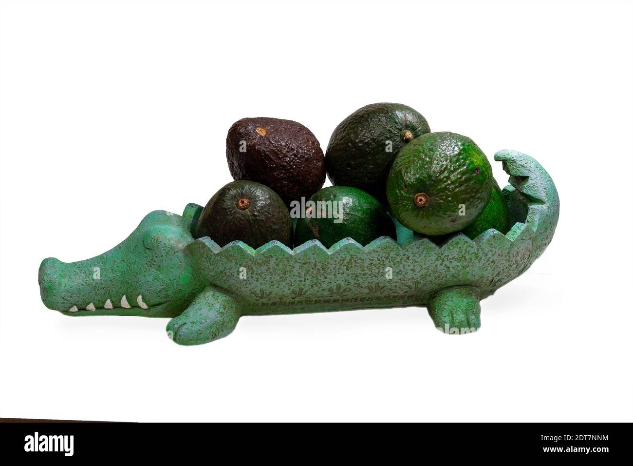 Eine längliche Vase in Form eines kriechenden Alligators Trägt Avocado Früchte auf dem Rücken Alligator Birne Stockfoto