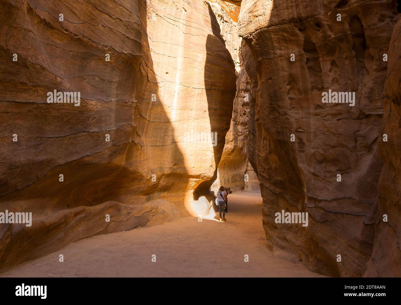 Petra Zufahrtsroute bekannt als Siq. Schmaler Durchgang zwischen riesigen Sandsteinfelsen. Tor zum Siq. Alte Haupteingang von Petra in Jordanien. Stockfoto