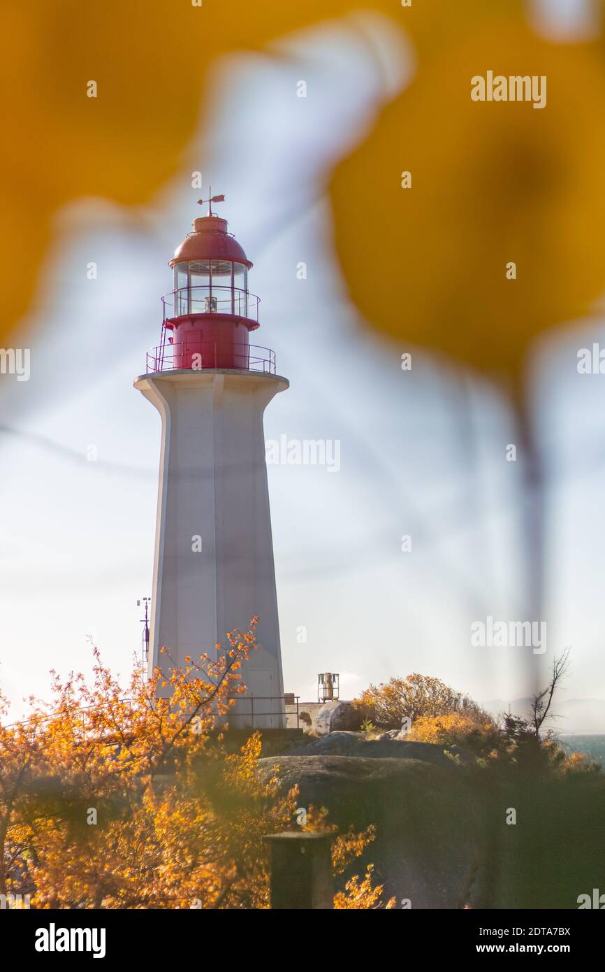 Schöner Leuchtturm am felsigen Ufer, Blick durch gelbe Blätter. West Vancouver, British Columbia, Kanada - November 7,2020. Selektiver Fokus, Reisen Stockfoto