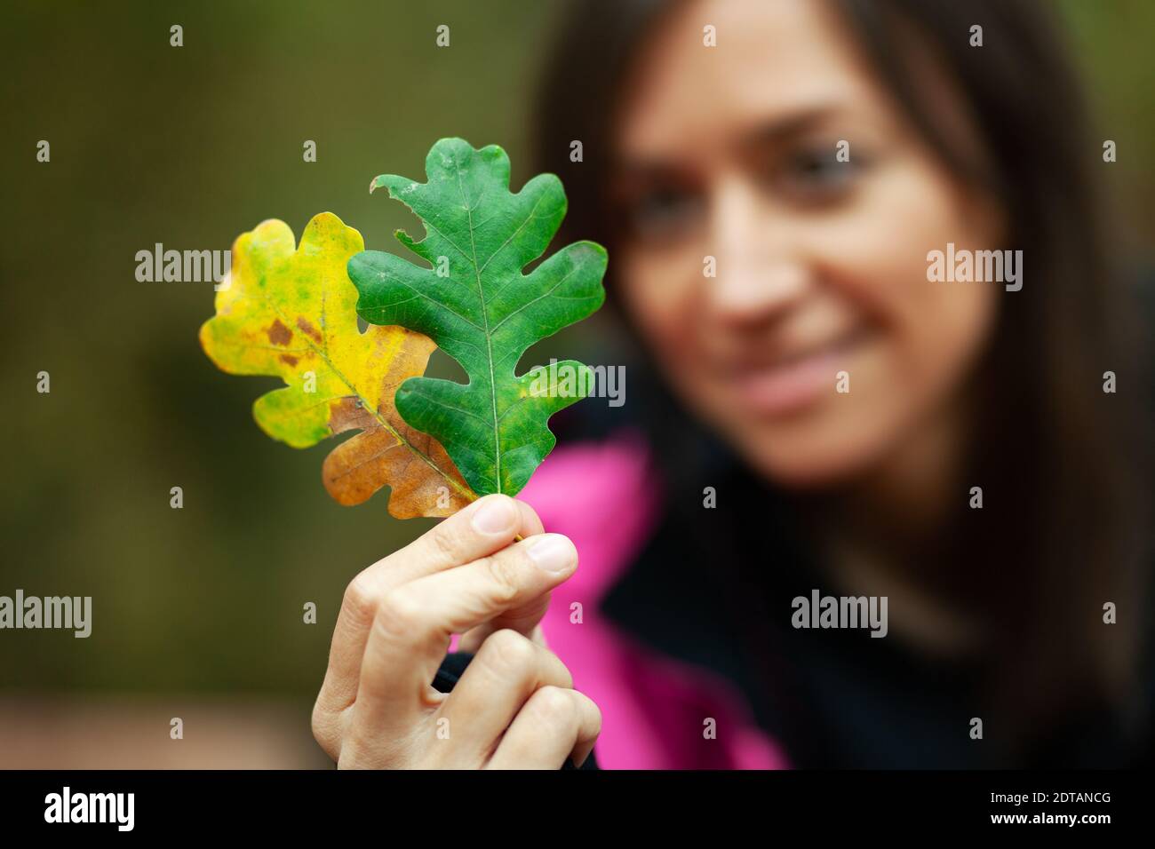 Mädchen in rosa hält zwei Herbstblätter. Herbstsaison in den Bergen. Konzentrieren Sie sich auf Blätter. Stockfoto