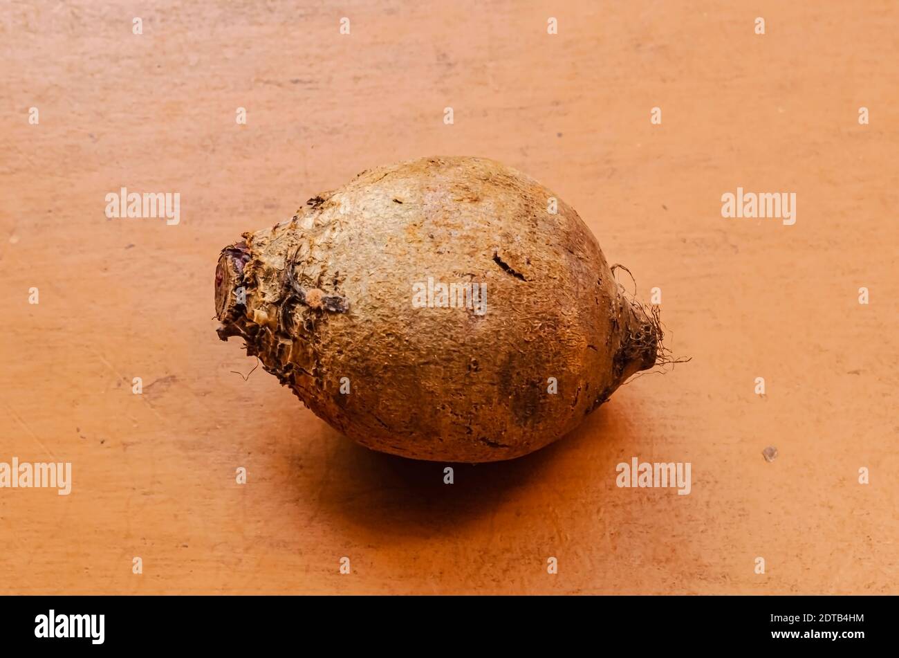 Isolierte rote Beete Stockfoto