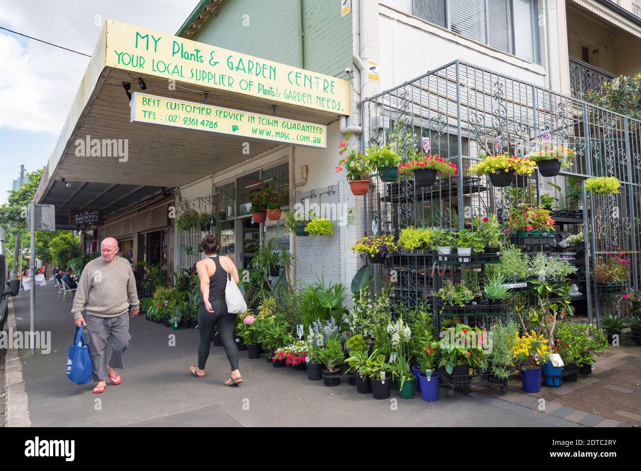 Pelargonien oder Geranien und andere blühende Pflanzen in kleinen Töpfen auf Regalen außerhalb eines innerstädtischen Pflanzenladens in Darlinghurst, Sydney, Australien Stockfoto