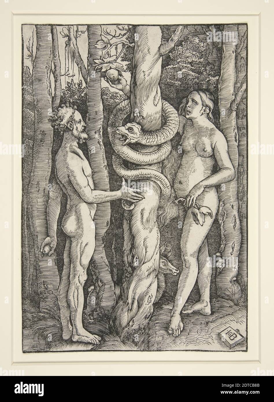 Künstler: Hans Baldung, deutsch 1484/85–1545, Adam und Eva mit der Schlange, Holzschnitt, Blatt: 22.1 × 15.3 cm 11/16, Made in Germany, deutsch, 16. Jahrhundert, Arbeiten auf Papier - × Drucke Stockfoto