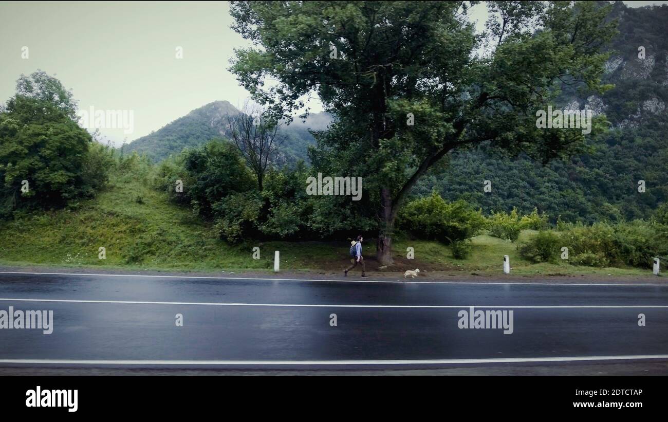 Hundewanderung Mit Dem Besitzer Stockfoto