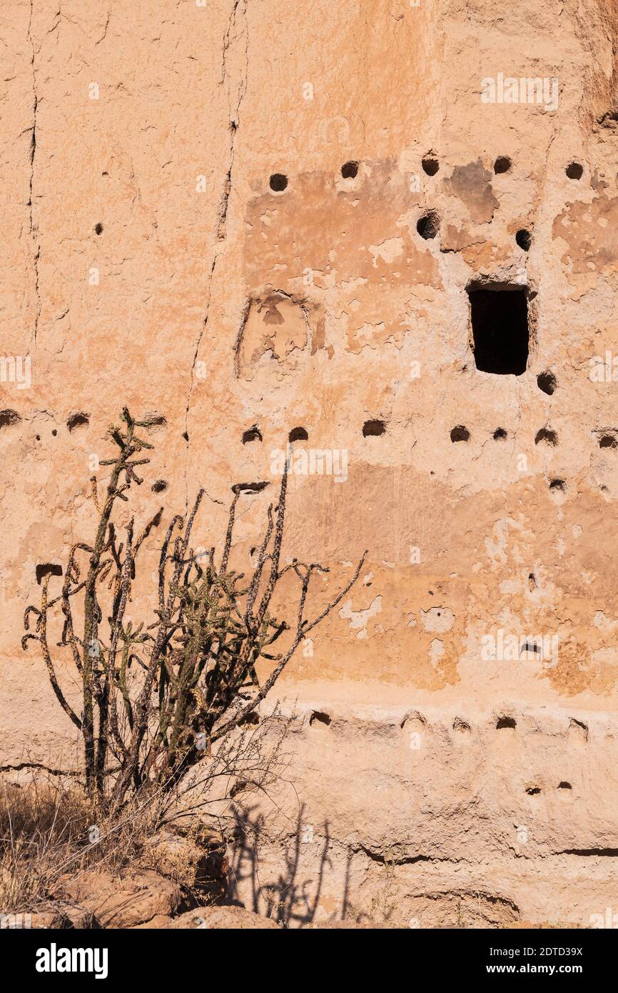 CLIFF DWELLINGS, BANDELIER NATIONAL MONUMENT, NM, USA Stockfoto