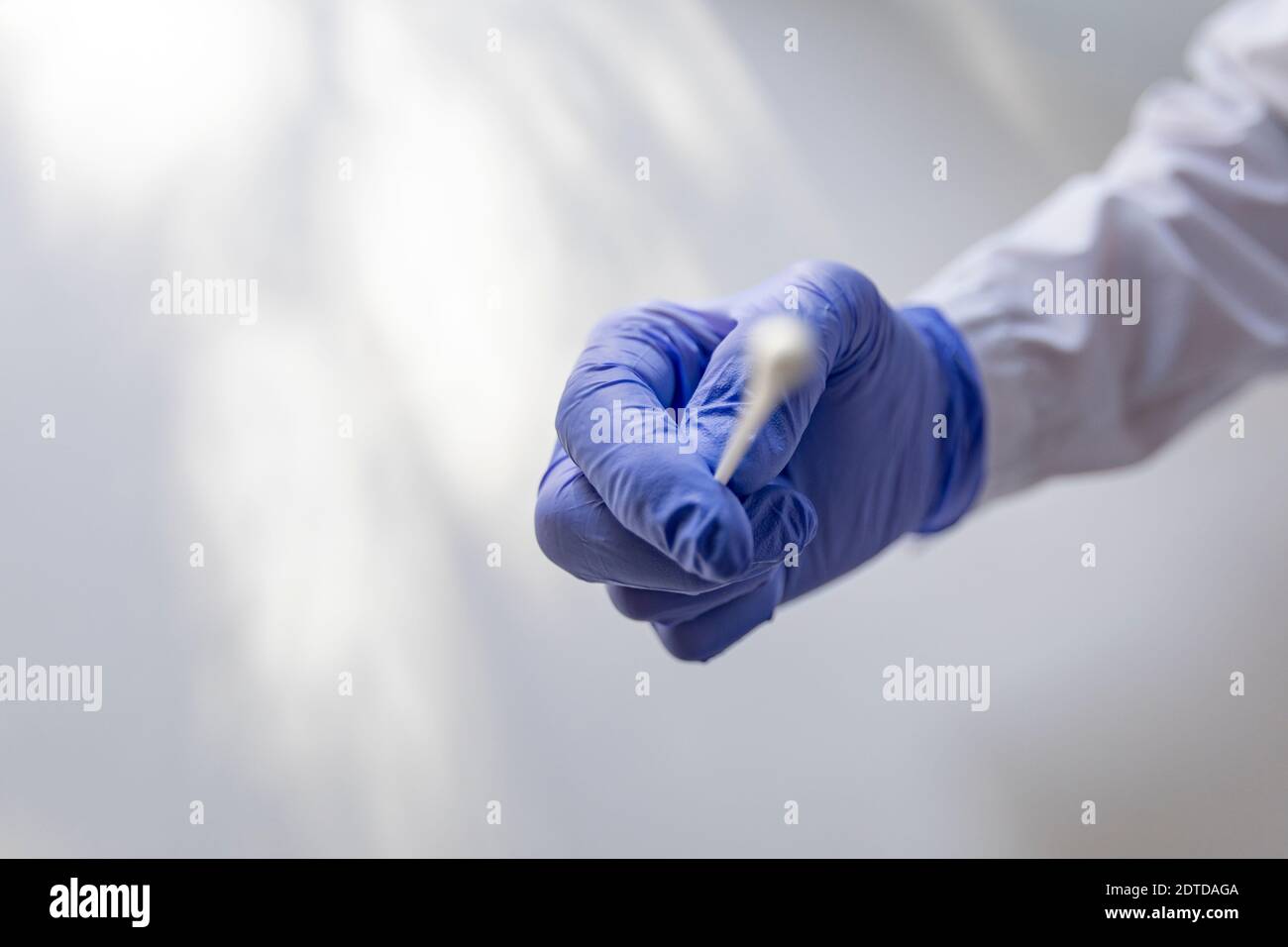 Mit Handschuhen für sterile Abstrichtupfer für COVID-Tests Stockfoto