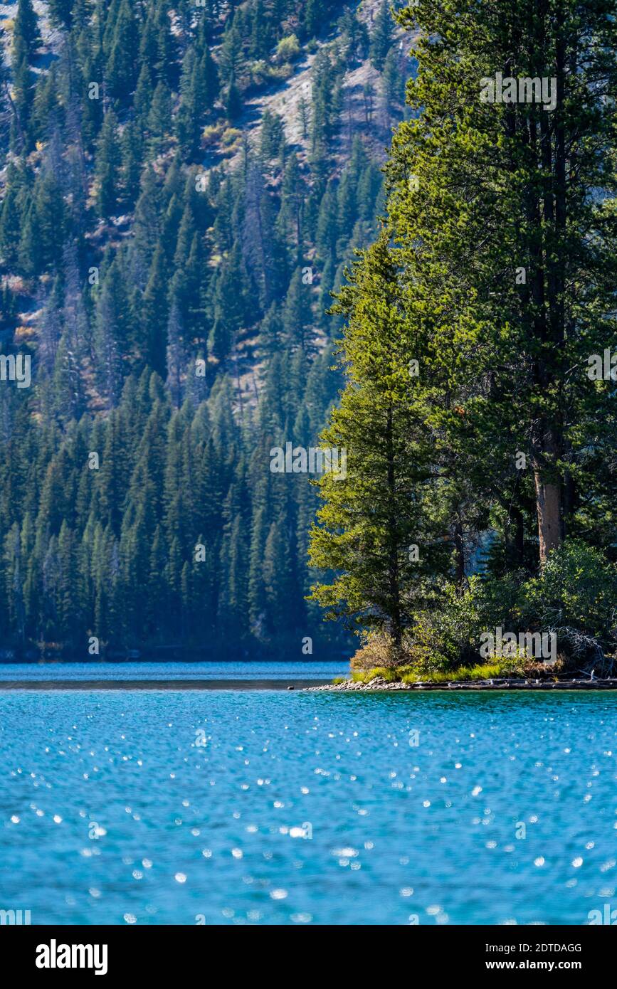 USA, Idaho, Stanley, Alpine Lake und Bäume in Sawtooth Range Stockfoto