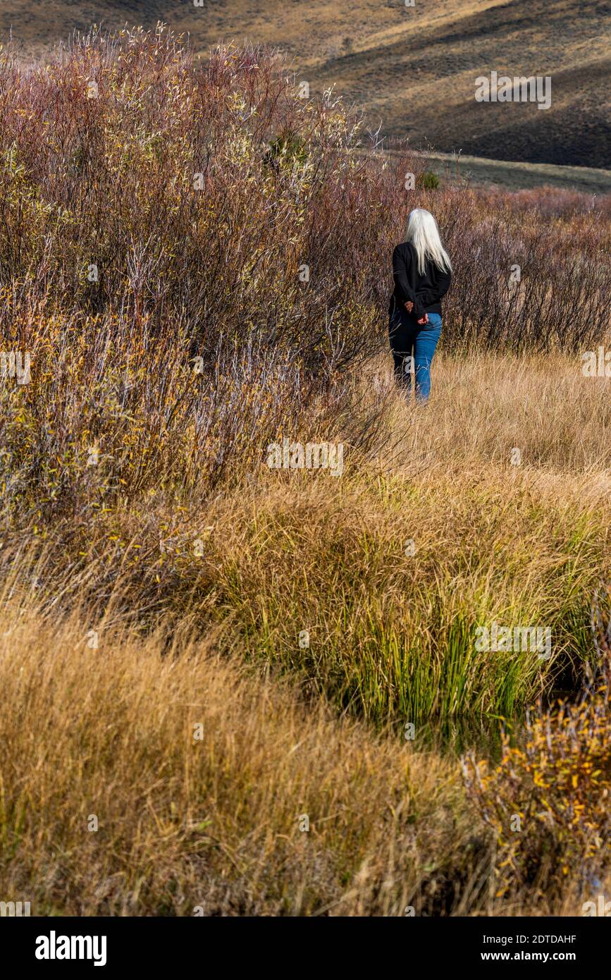 USA, Idaho, Stanley, ältere Frau mit langen weißen Haaren, die durch den Bach zwischen Gras in nicht urbaner Landschaft läuft Stockfoto