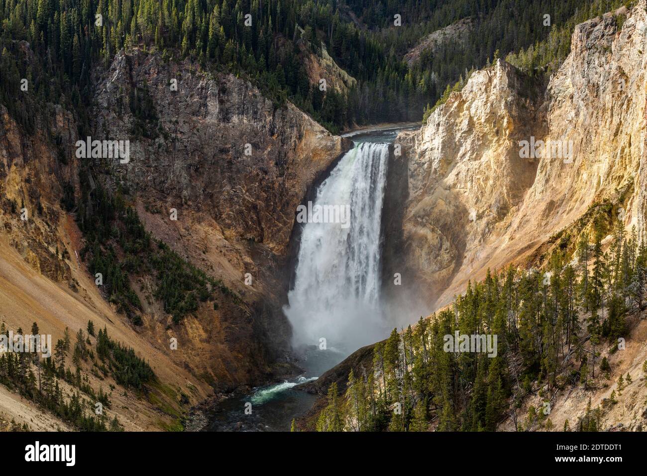 USA, Wyoming, Yellowstone National Park, Lower Yellowstone Falls im Grand Canyon des Yellowstone National Park Stockfoto