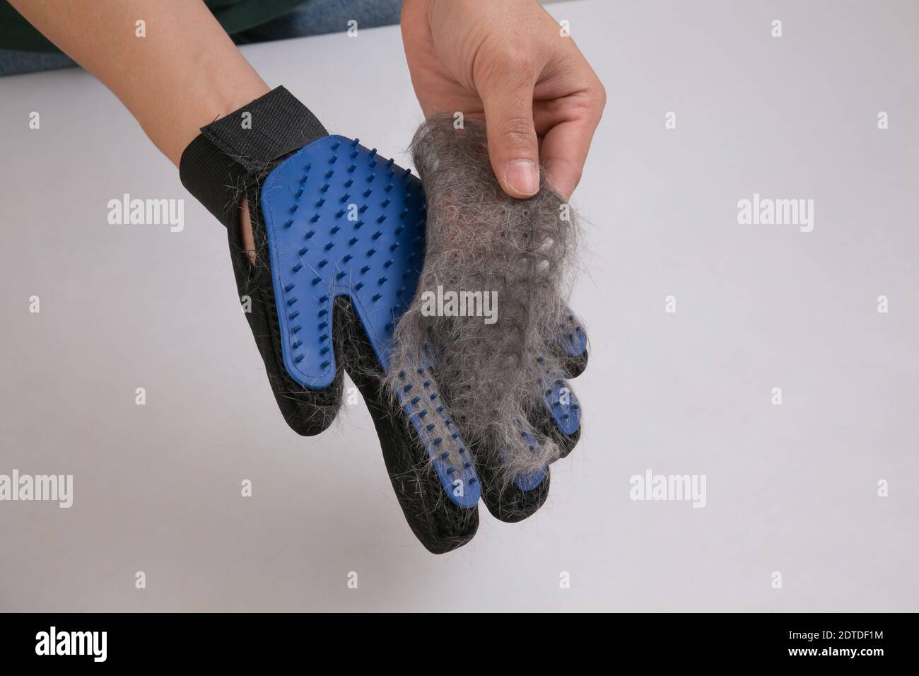 Ein Mann, der Katzen Haare aus dem Gummihandschuh entfernt. PET-Pflegewerkzeug Stockfoto