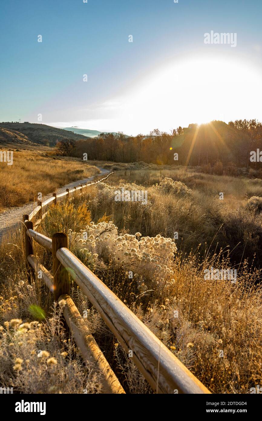 USA, Idaho, Boise, Pfad entlang Zaun in Military Reserve Landschaft Stockfoto