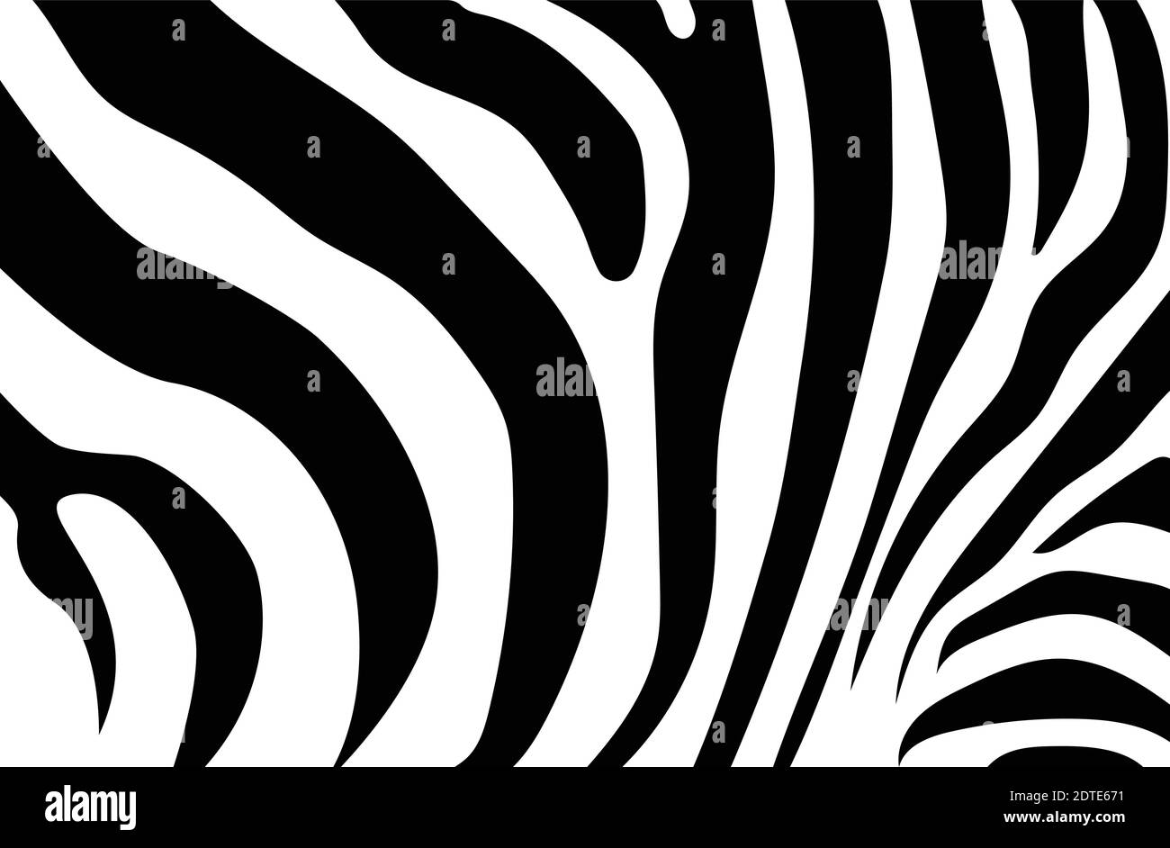 Abstrakte Hintergrundhaut eines Zebras, weiße und schwarze Farbe. Wilde Tiere. Stock Vektor