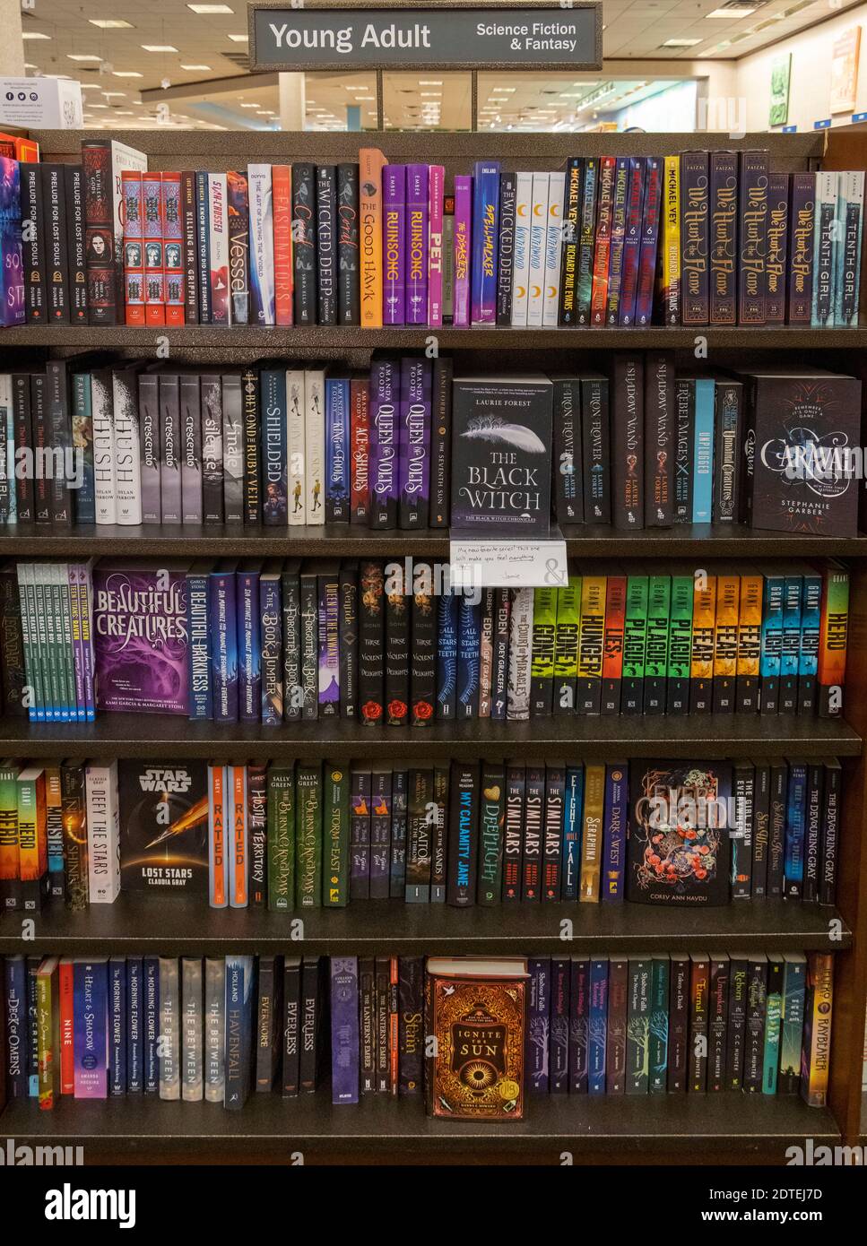 Young adult Science Fiction and Fantasy books, Barnes and Noble, USA Stockfoto