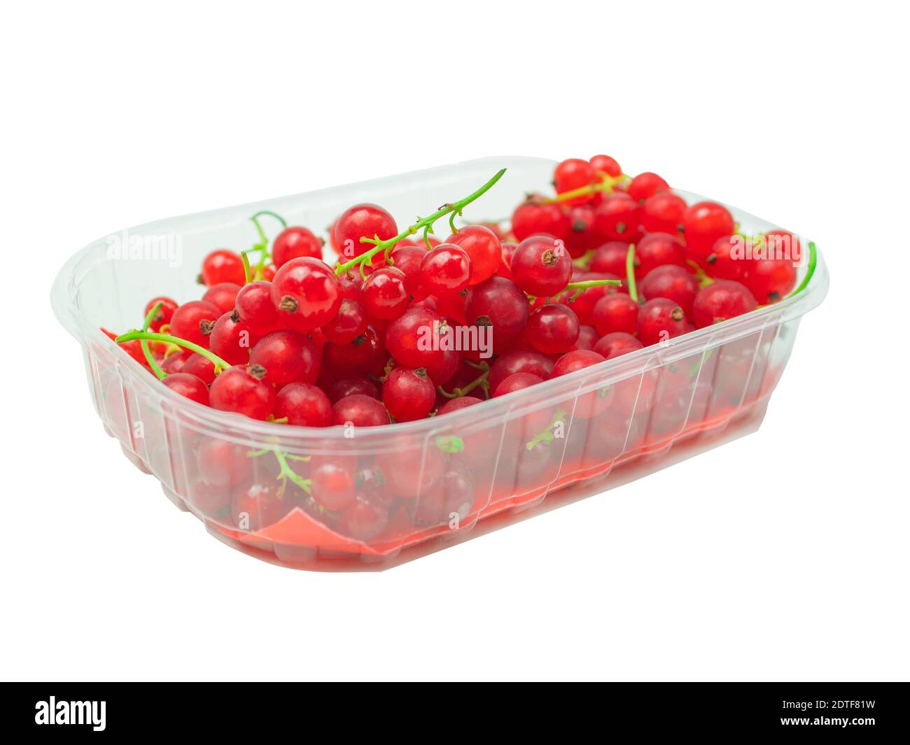 Frische rote Johannisbeeren in einem Tablett auf weißem Hintergrund Stockfoto