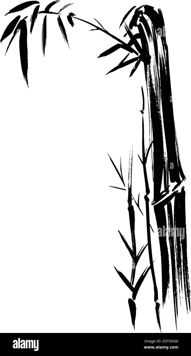 Bamboo Silhouette Zeichnung isoliert auf weißem Hintergrund. Leicht editierbare Vektorgrafik mit Ebenen. Stock Vektor