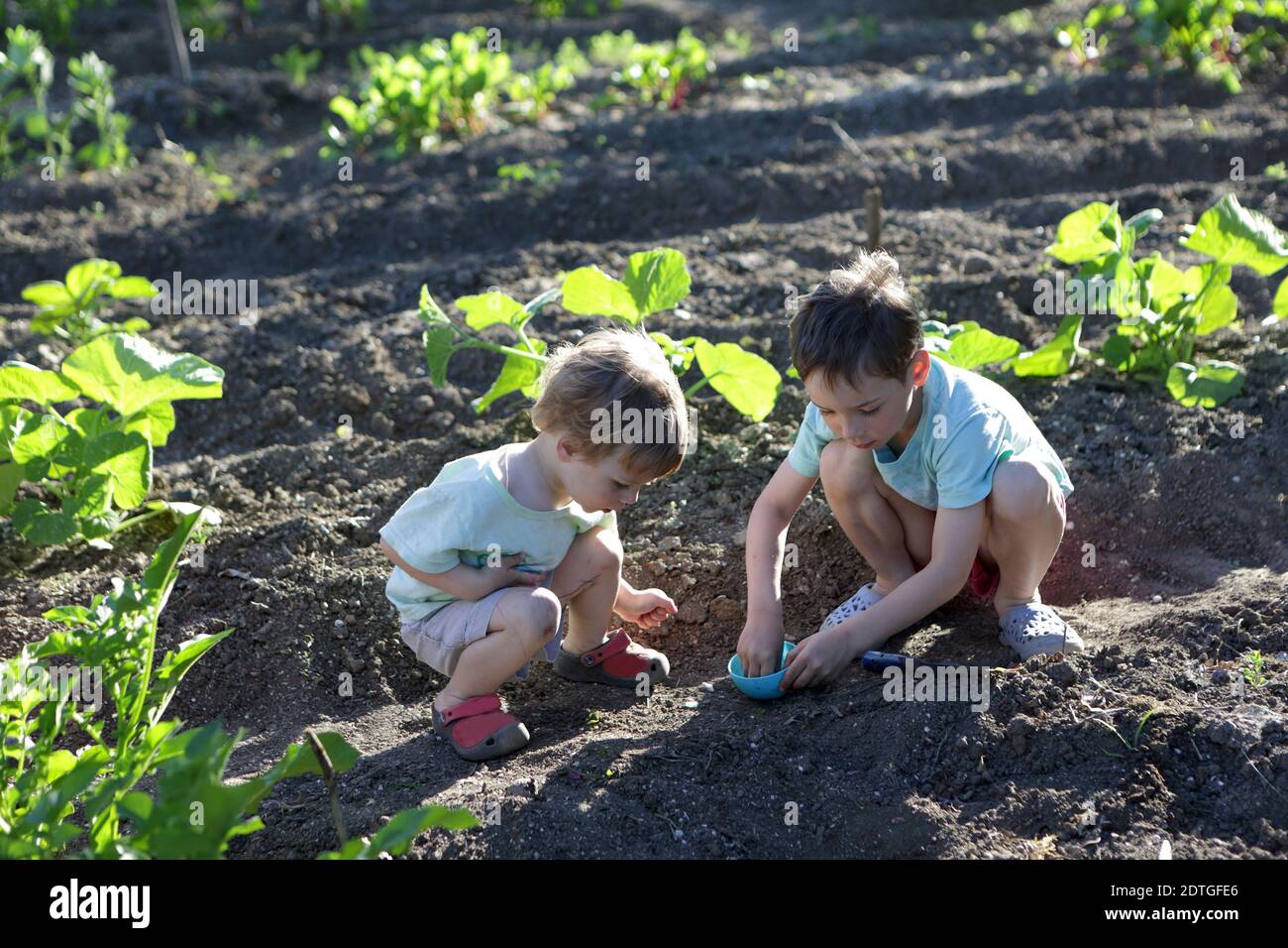 Zwei Jungen Pflanzen Samen im Garten Stockfoto