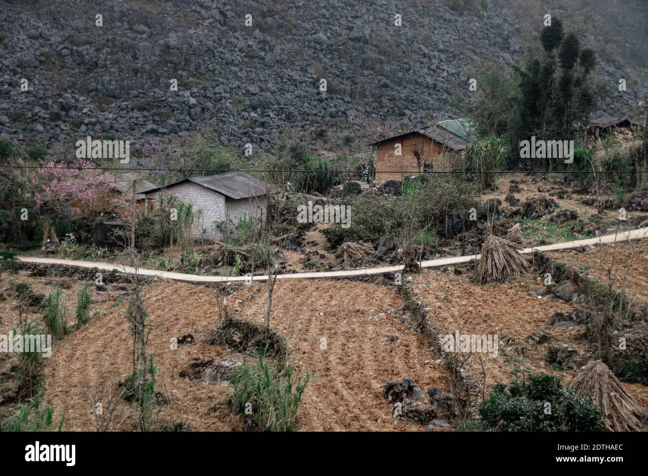 Karstgebirge in Dong Van Karst Plateau Geopark in Ha giang, Vietnam Stockfoto