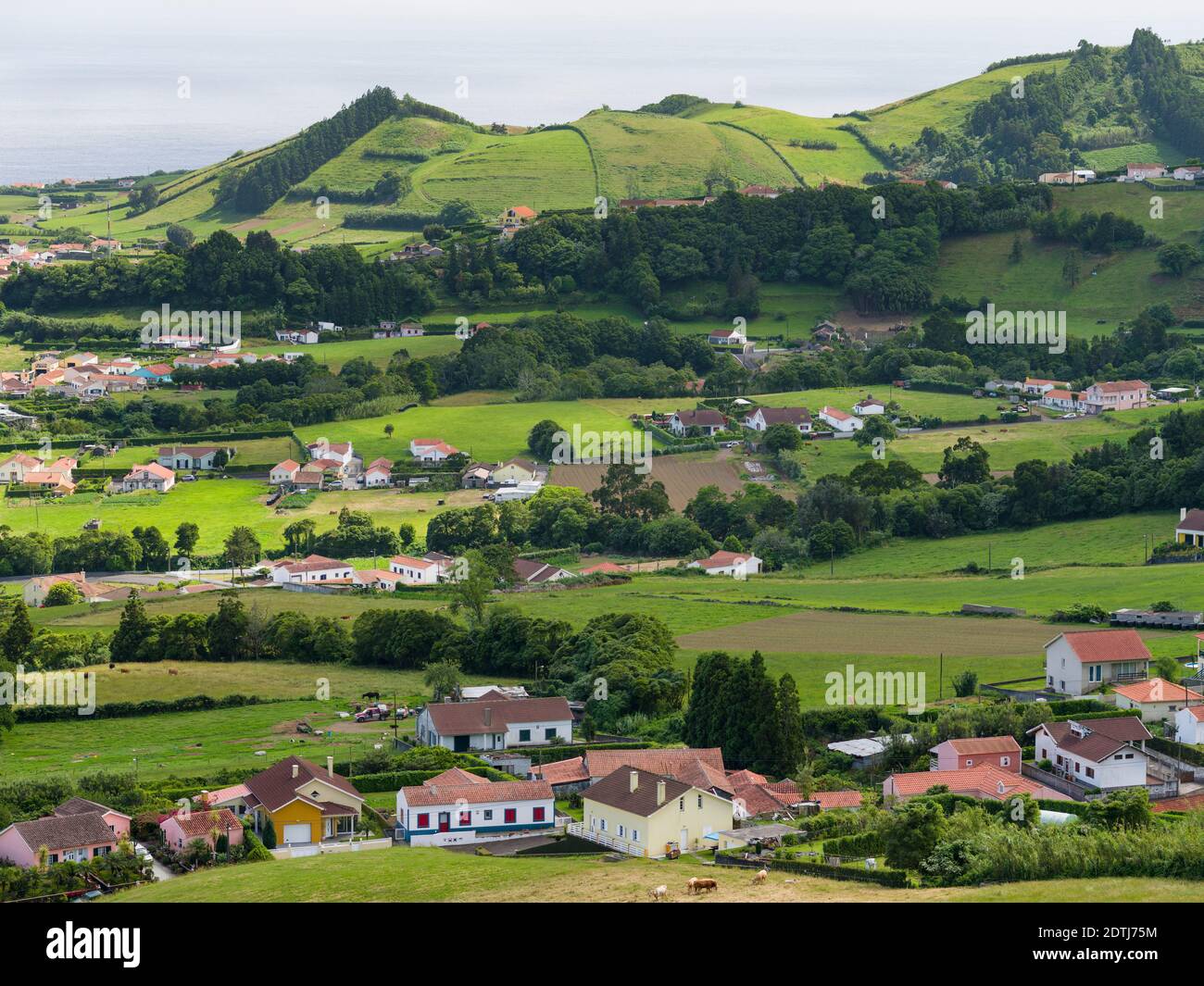 Faial Island, eine Insel auf den Azoren (Ilhas dos Acores) im Atlantischen Ozean. Die Azoren sind eine autonome Region Portugals. Stockfoto