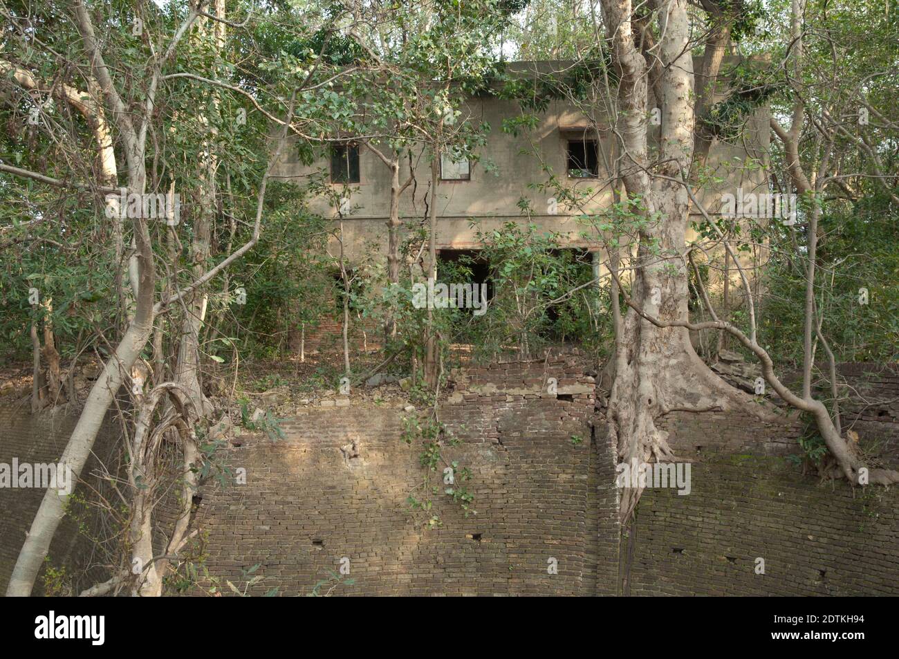 Gebäude durch den Wald besetzt. Keoladeo Ghana National Park. Bharatpur. Rajasthan. Indien. Stockfoto