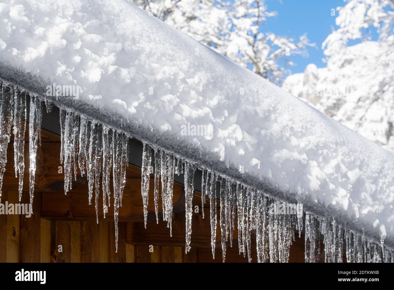 Schneeikel fallen im Winter von einem verschneiten Dach Stockfoto