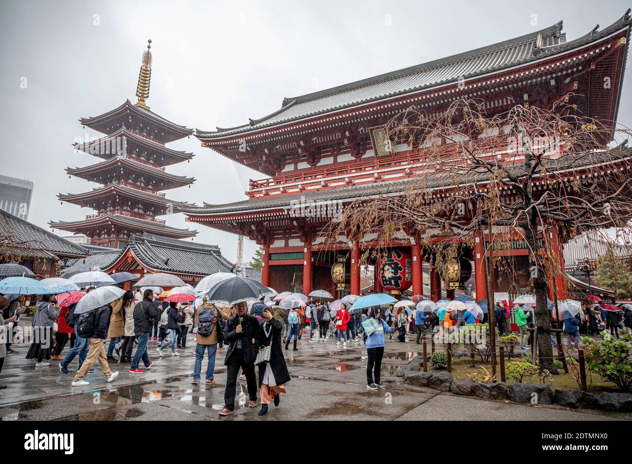 Japan, Tokio, Asakusa District, Senso Ji Tempel Stockfoto