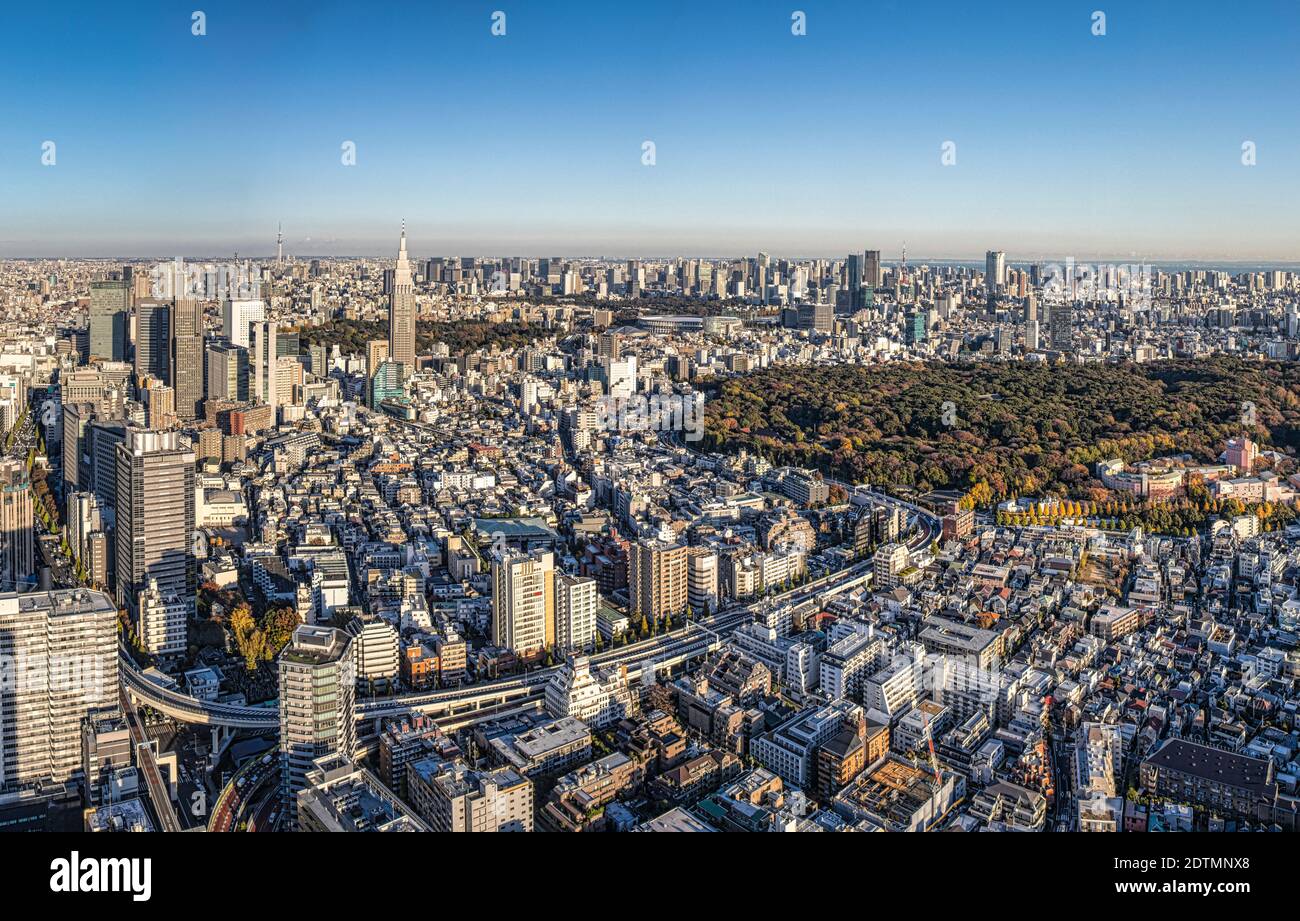 Japan, Tokyo City, Gesamtansicht des Zentrums von Tokio Stockfoto