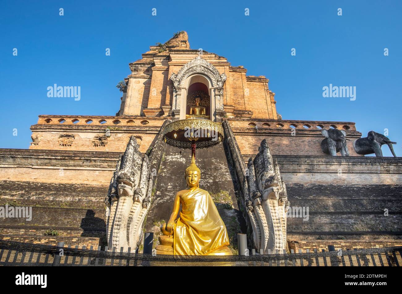 Thailand, Chiang Mai City, Wat Chedi Luang Stockfoto