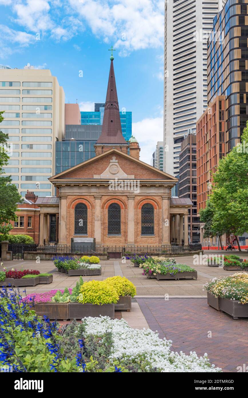 Die St. James Church (King Street) im georgianischen Stil aus dem Jahr 1824 wird hier von der Macquarie Street aus durch die von der City of Sydney gepflanzten Frühlingsblumen aufgehellt Stockfoto