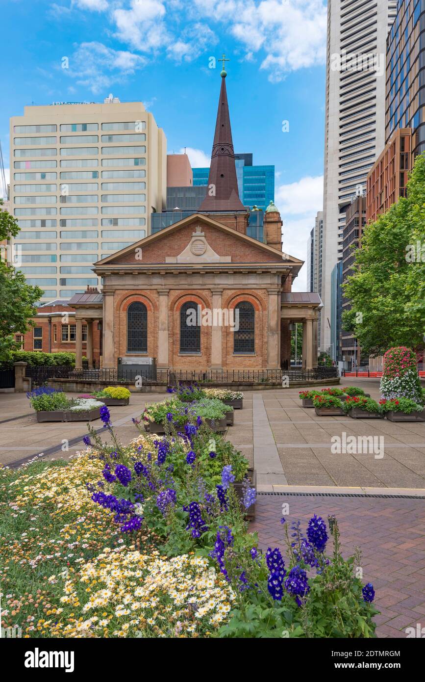 Die St. James Church (King Street) im georgianischen Stil aus dem Jahr 1824 wird hier von der Macquarie Street aus durch die von der City of Sydney gepflanzten Frühlingsblumen aufgehellt Stockfoto