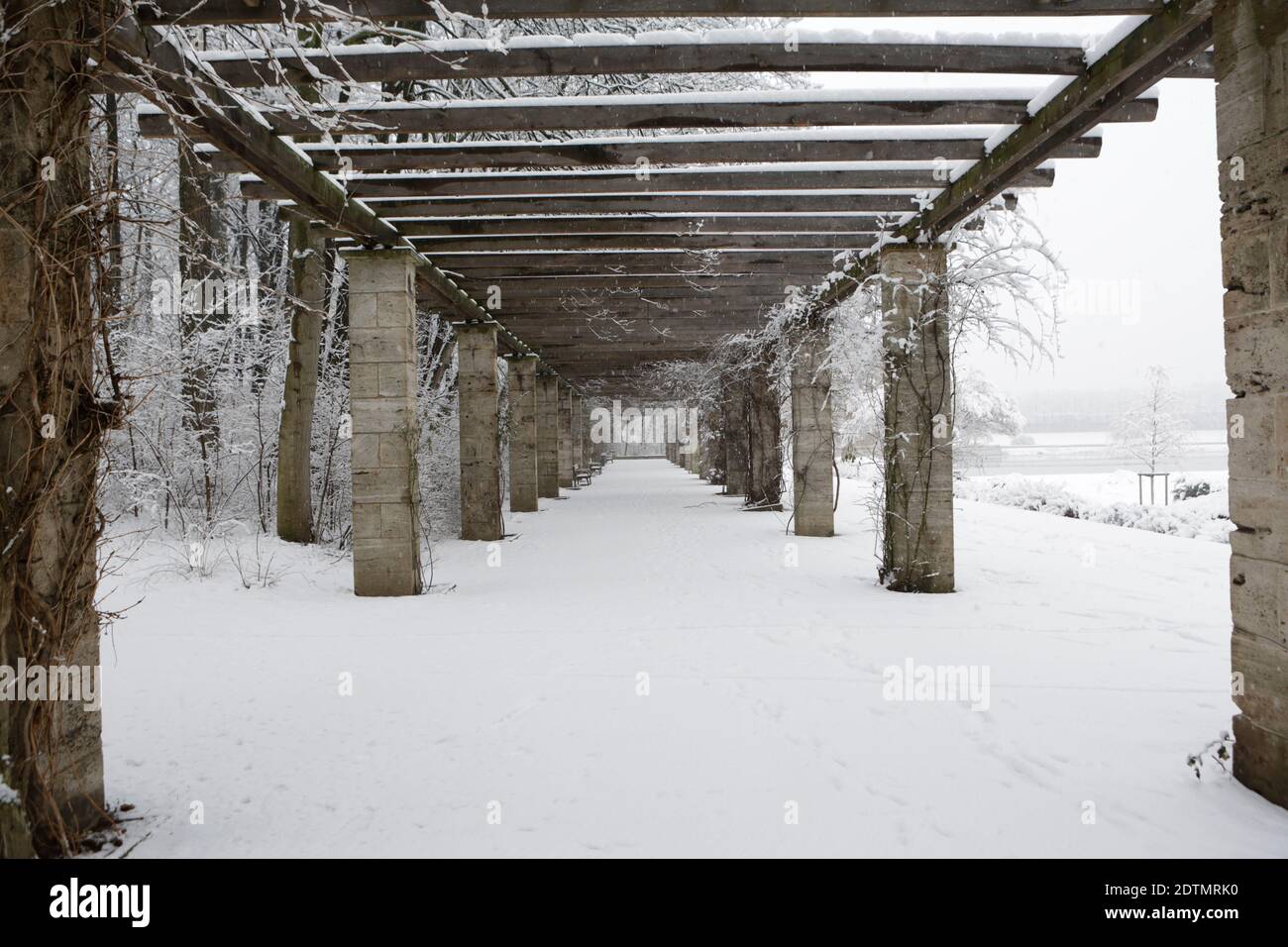 Winter im Leipziger Palmengarten, Schnee, Kälte, Eindrücke Stockfoto