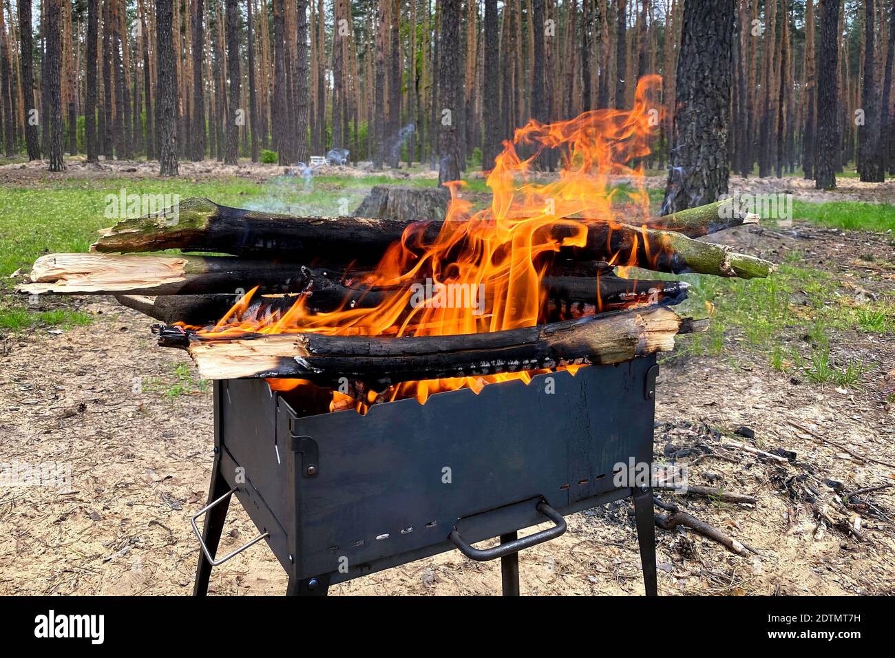 Flamme aus brennenden Holzstämmen im Kamin. Holzfeuer für Grill auf Natur vorbereitet. BBQ mit brennendem Brennholz. Picknick. Stockfoto