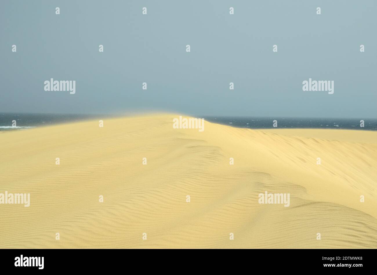 Spanien, Kanarische Inseln, Fuerteventura, Wind über Wüste und Dünen im Naturpark El Jable Stockfoto