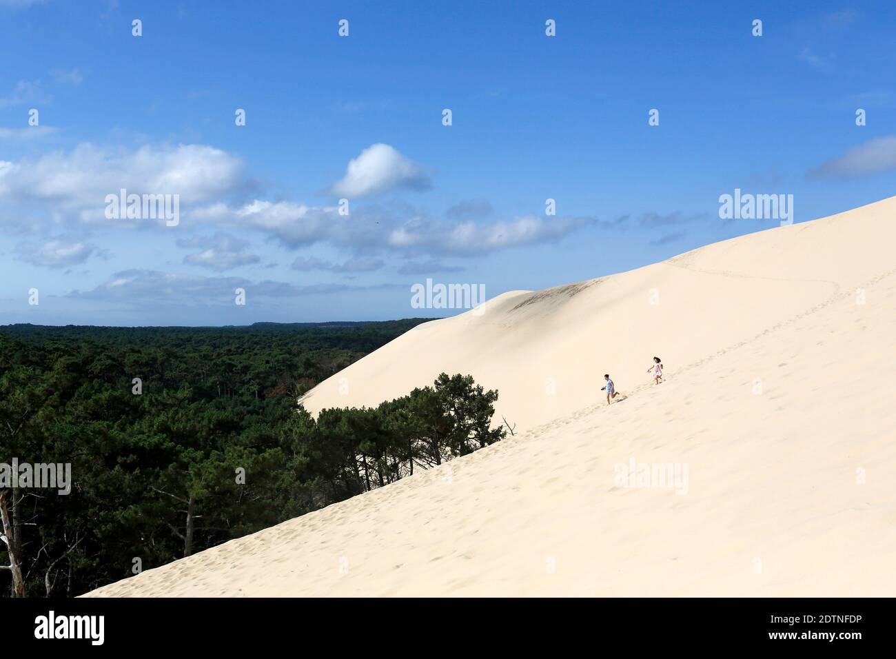 Die Düne von Pilat (oder Pyla) in der Bucht von Arcachon (Südwestfrankreich): Zwei Personen laufen im Sand der Dünen, mit Landes de Gascogne Wald i Stockfoto