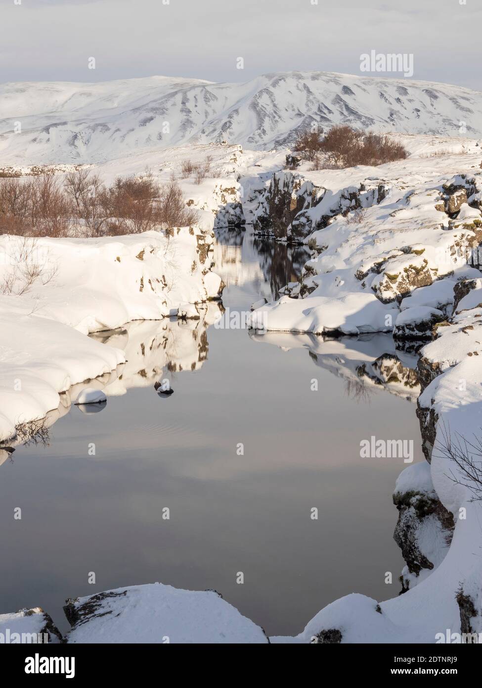 Flosagja Schlucht. Thingvellir Nationalpark bedeckt mit Neuschnee in Island im Winter. Thingvellir ist Teil des UNESCO-Weltkulturerbes. Nördliche Eu Stockfoto