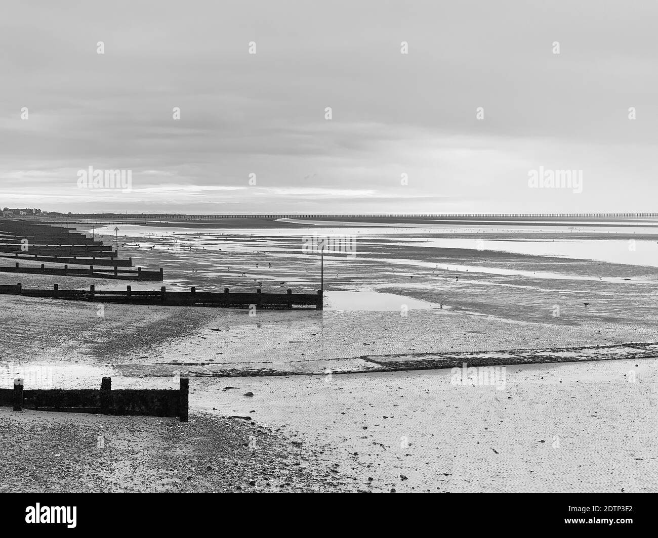 Dezember Morgen, Low Tide Thames Estuary Blick von Seawall über East Beach auf Shoeburyness in Monochrome Stockfoto