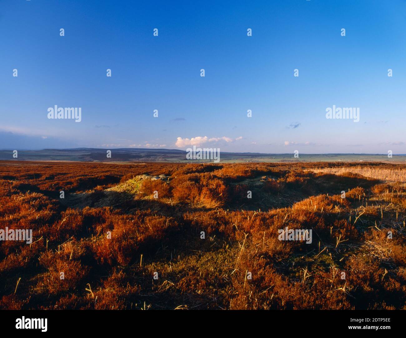 Sehen Sie sich NNE von hob Hurt's House an, eine quadratische prähistorische Grabkammer und Grabkammer in einer irdenen Bank auf Beeley Moor, Derbyshire, England, Großbritannien. Stockfoto