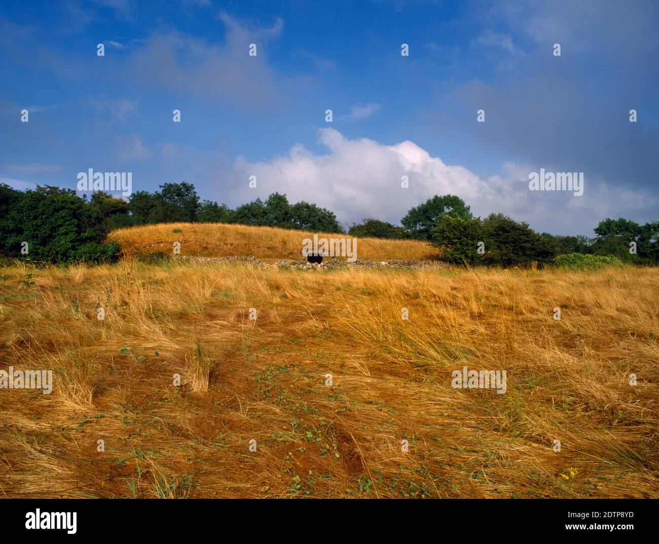 Profilansicht Blick E auf Belas Knap Cotswold-Severn Neolithischer langer Schubkarre, Gloucestershire, England, UK, zeigt den Eingang zur W-Grabkammer. Stockfoto