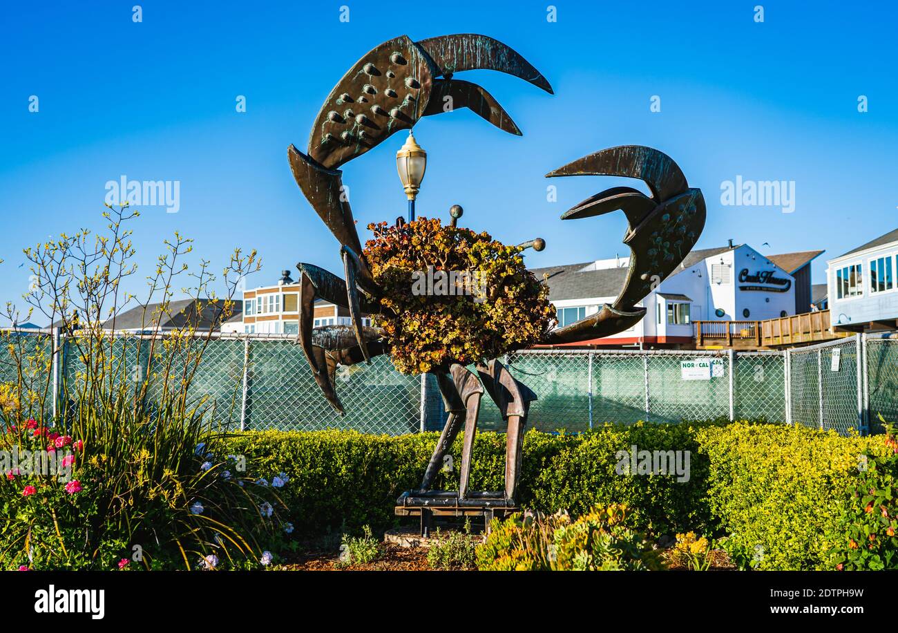 Das Krabbentopiary ist eine berühmte Bronzeskulptur am Pier 39 mit einem Kopfkörper, Metallbeinen und Krallen. Stockfoto