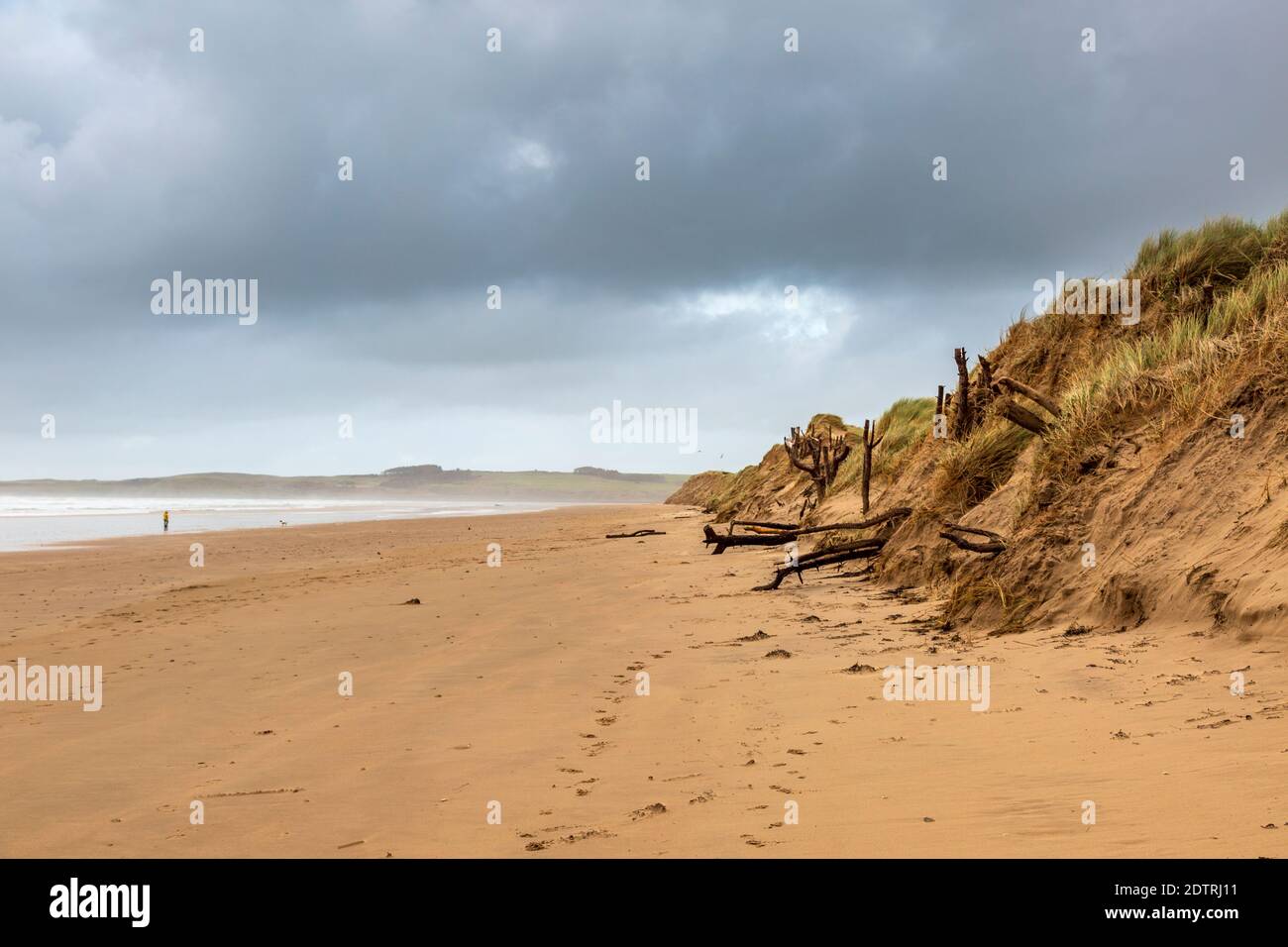 Sanddünen am Malltraeth Strand am Rande des Newborough Waldes auf Llanddwyn Island, Anglesey, Wales Stockfoto
