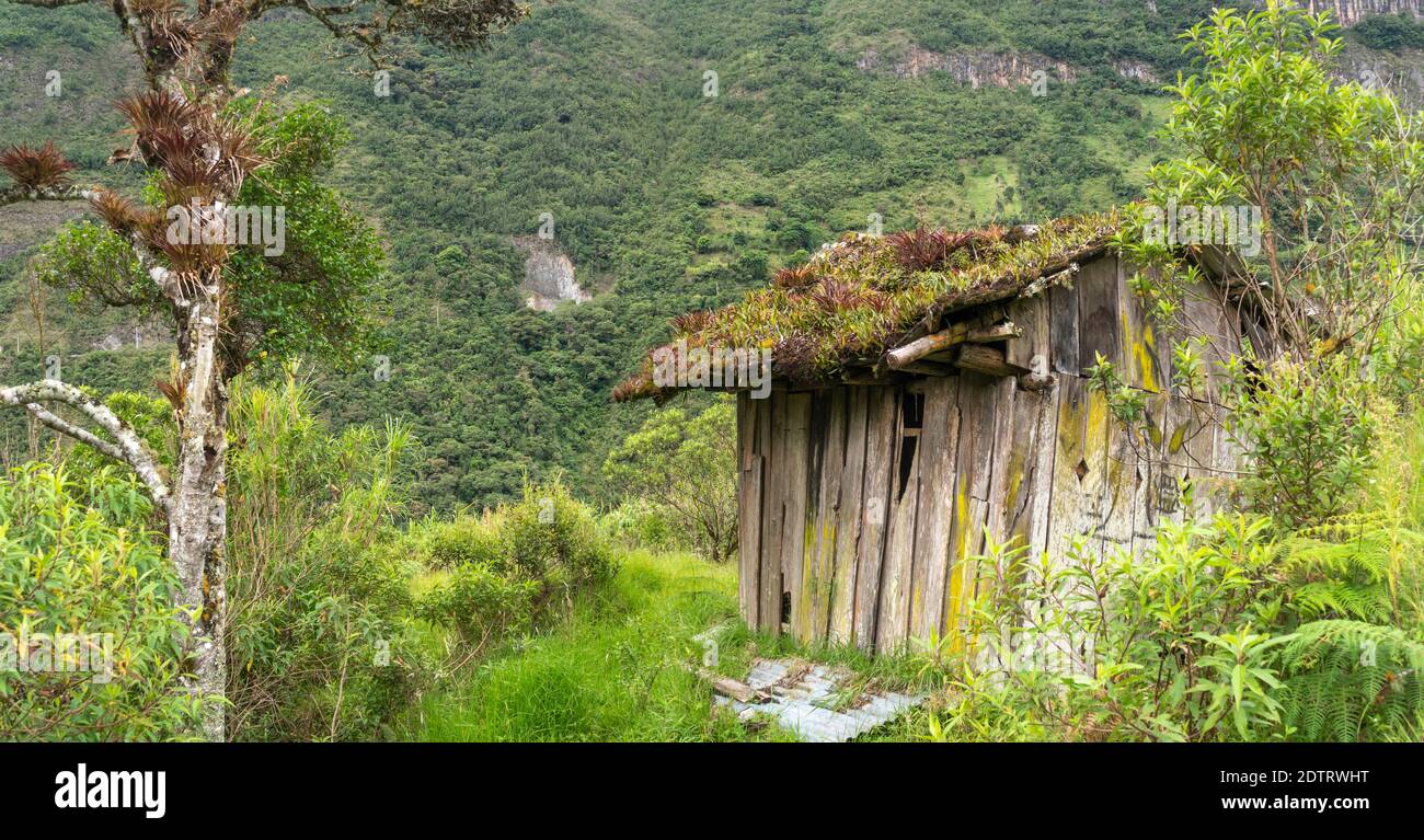 Verlassene Hütte auf Almen oberhalb des Rio Verde Chico Tals bei Banos an den Amazonas-Hängen der Anden in Ecuador. Stockfoto