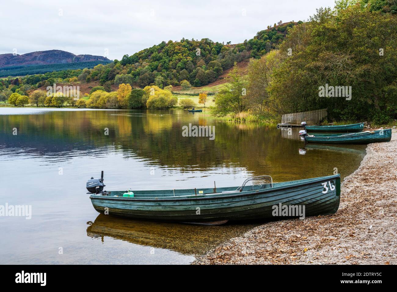 Boote zum Mieten am Lake of Menteith Fischerei im Hafen von Menteith in den Trossachs, Schottland, Großbritannien Stockfoto