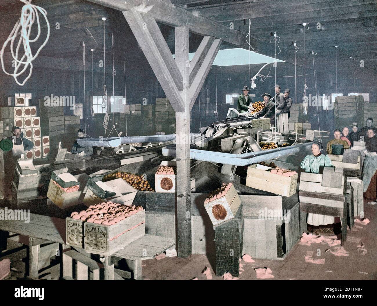Orange Verpackung bei Redlands, Kalifornien, USA. Nach einem Foto-Chromolithograph von einem unbekannten Fotografen, veröffentlicht um 1899 von der Detroit Photographic Co.. Stockfoto