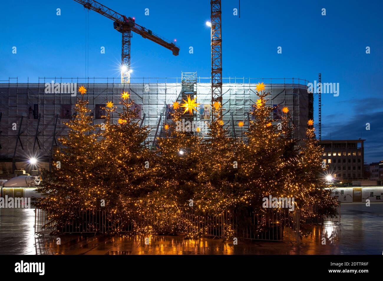 Geschmückte Weihnachtsbäume auf dem Roncalliplatz vor dem Dom Hotel, das während der Corona Pandemie in Köln renoviert wurde. Es gibt in der Regel ein Stockfoto