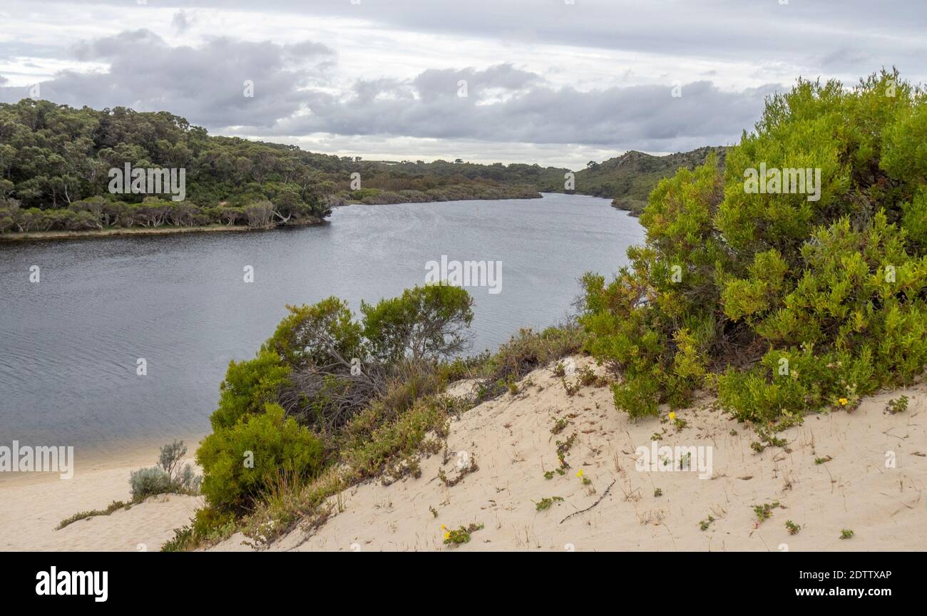 Melaleucas und Eukalyptusbäume und Peelings entlang des Moore River Guilderton Westaustralien Stockfoto