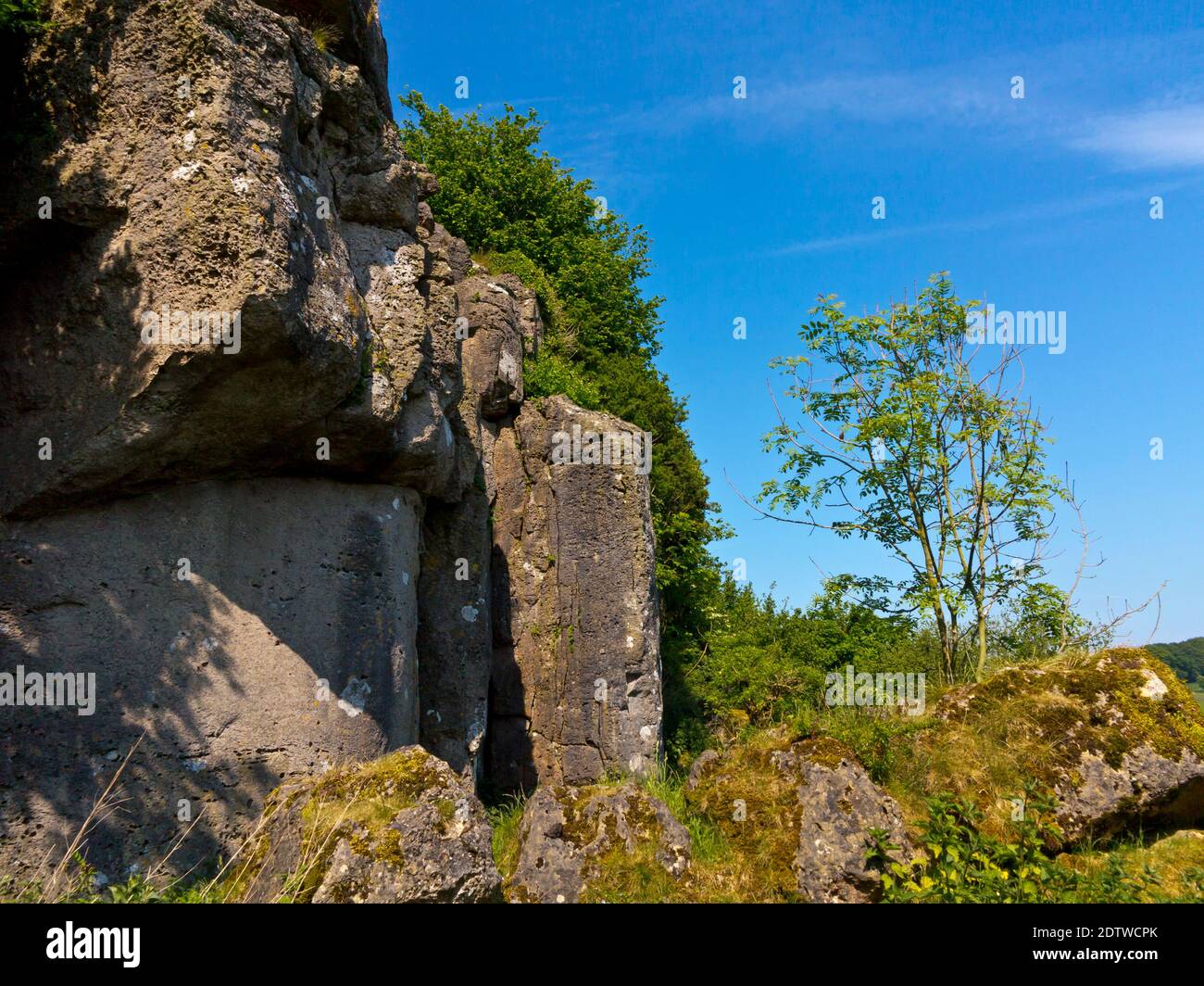 Rainster Rocks ein dolomitischer Kalksteinausbiss in der Nähe von Brassington in der Derbyshire Dales Peak District National Park England Großbritannien Stockfoto