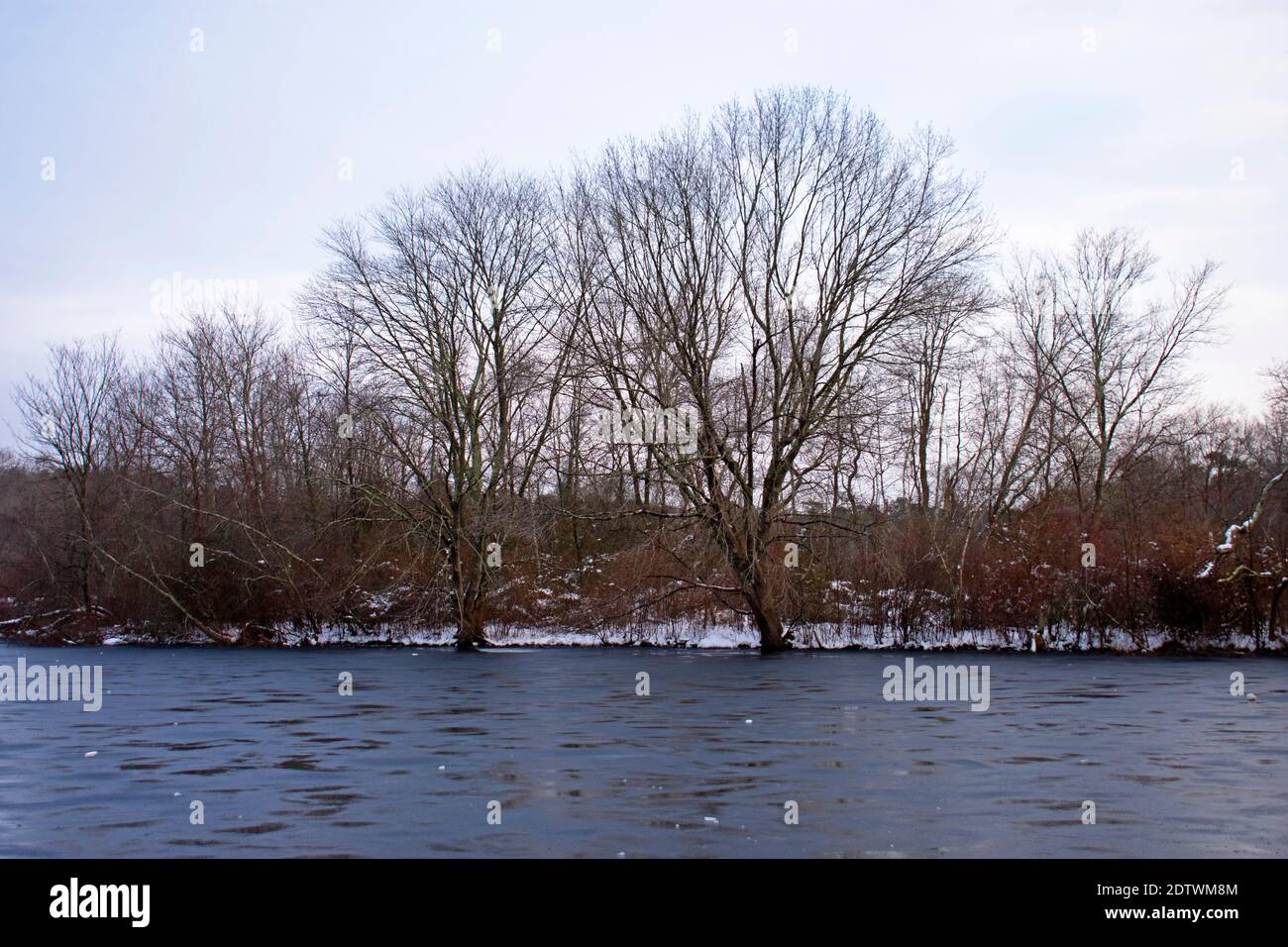 Dünnes Eis umgeht den kleinen See im Turkey Swamp Park, New Jersey, USA -02 Stockfoto