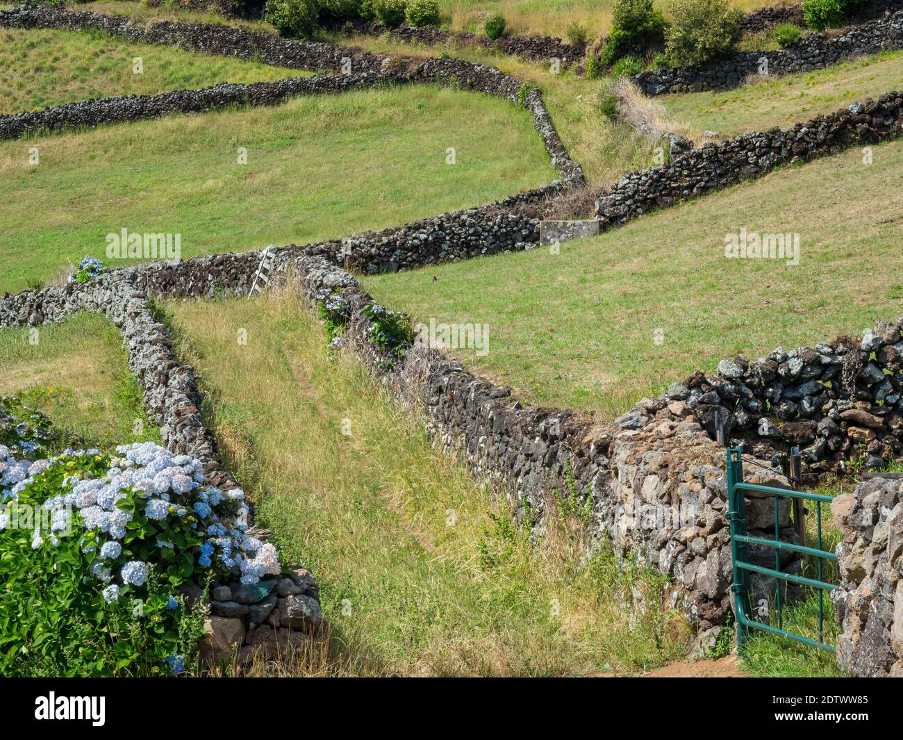 Felder und Weiden im Südwesten der Insel. Insel Ilhas Terceira, Teil der Azoren (Ilhas dos Acores) im atlantischen Ozean, eine autonome Stockfoto